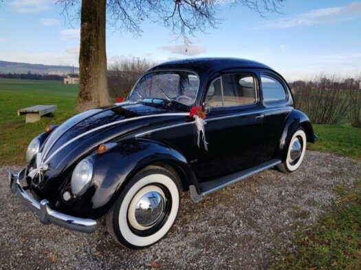 VW Käfer (1100) – Foto 1